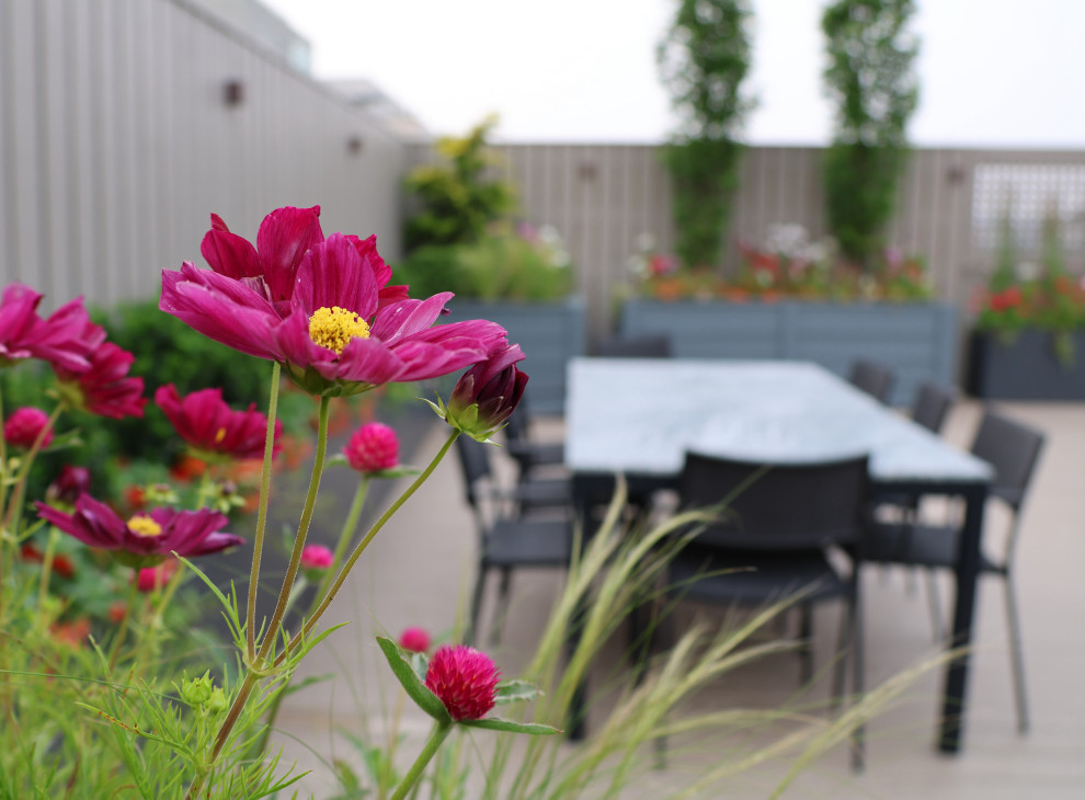 Inspiration for a transitional home design remodel in DC Metro