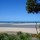 carol_nelson62