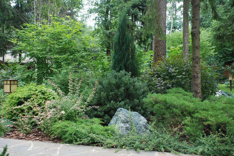 Успенское шоссе РИИТА