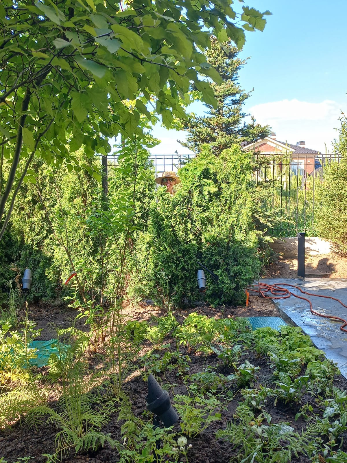 Landscape design of the territory (Moscow region)