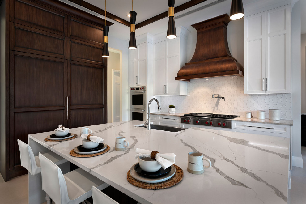 Kitchen - transitional kitchen idea in Miami