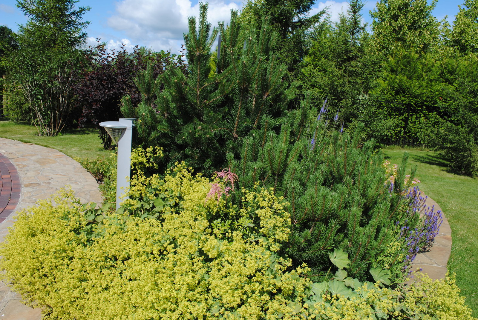 КП Графские пруды