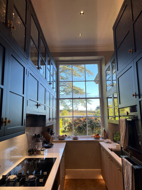 Tall Galley Kitchen contemporary-kitchen