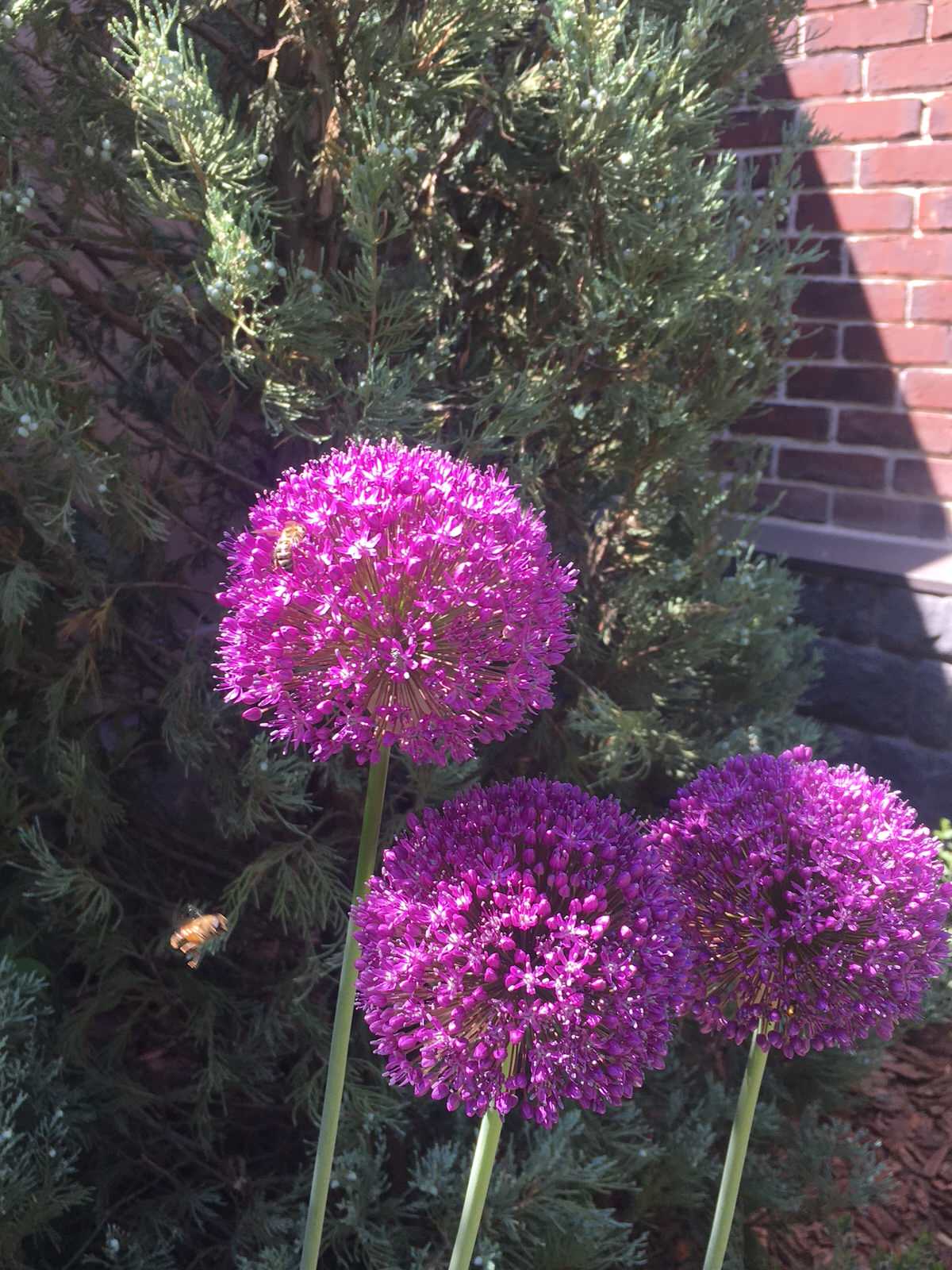 "В миниатюре"