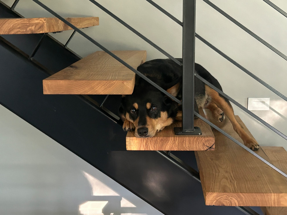 stair cases