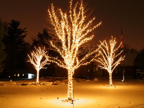 Landscape and Holiday Lighting