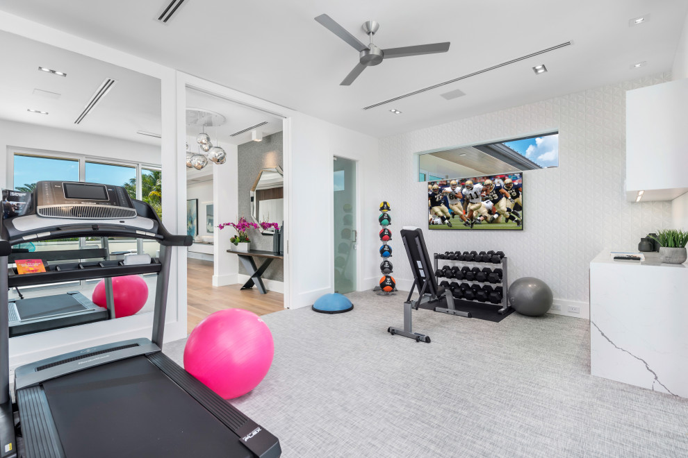 Inspiration for a contemporary home gym in Other with vinyl flooring.