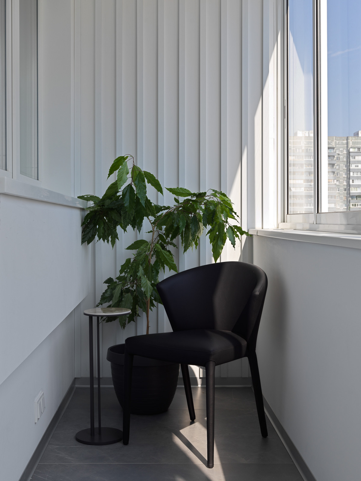 Проект Лебедь