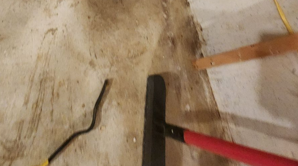 build up moisture because of roof leaks and causes dry rot