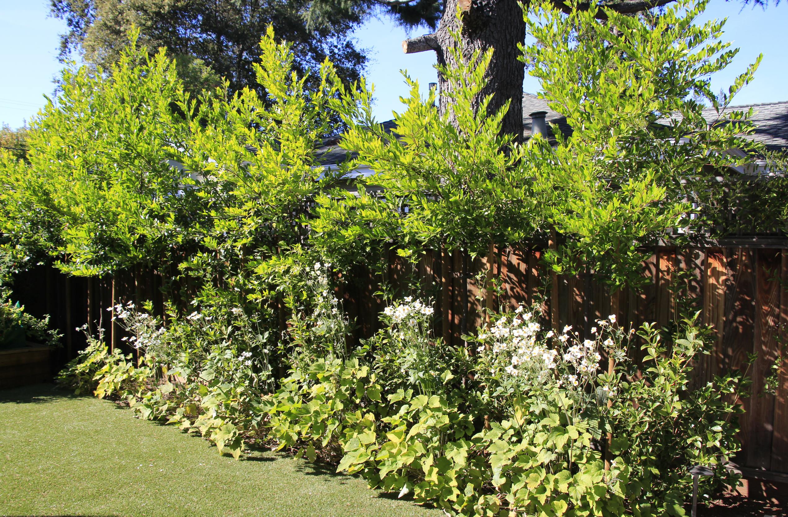 Minimalistic approach