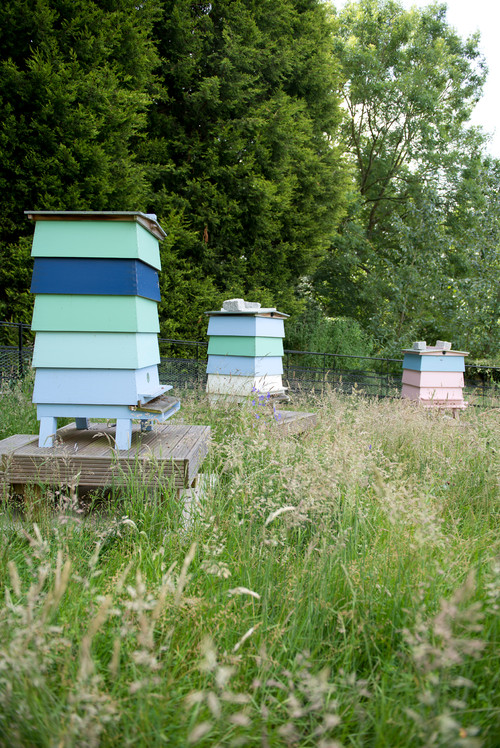 With a more open yard, there's opportunity for more colorful, attractive apiaries. Designs like this combine the practicality of those above with a sense of style, blasting color across the green lawn.