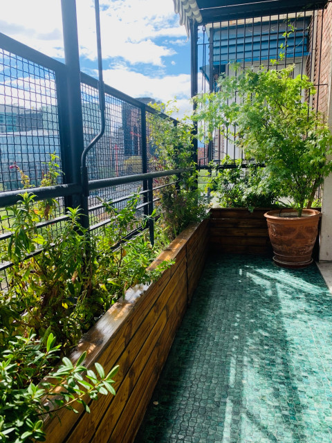 Terraza Urbana transitional-deck
