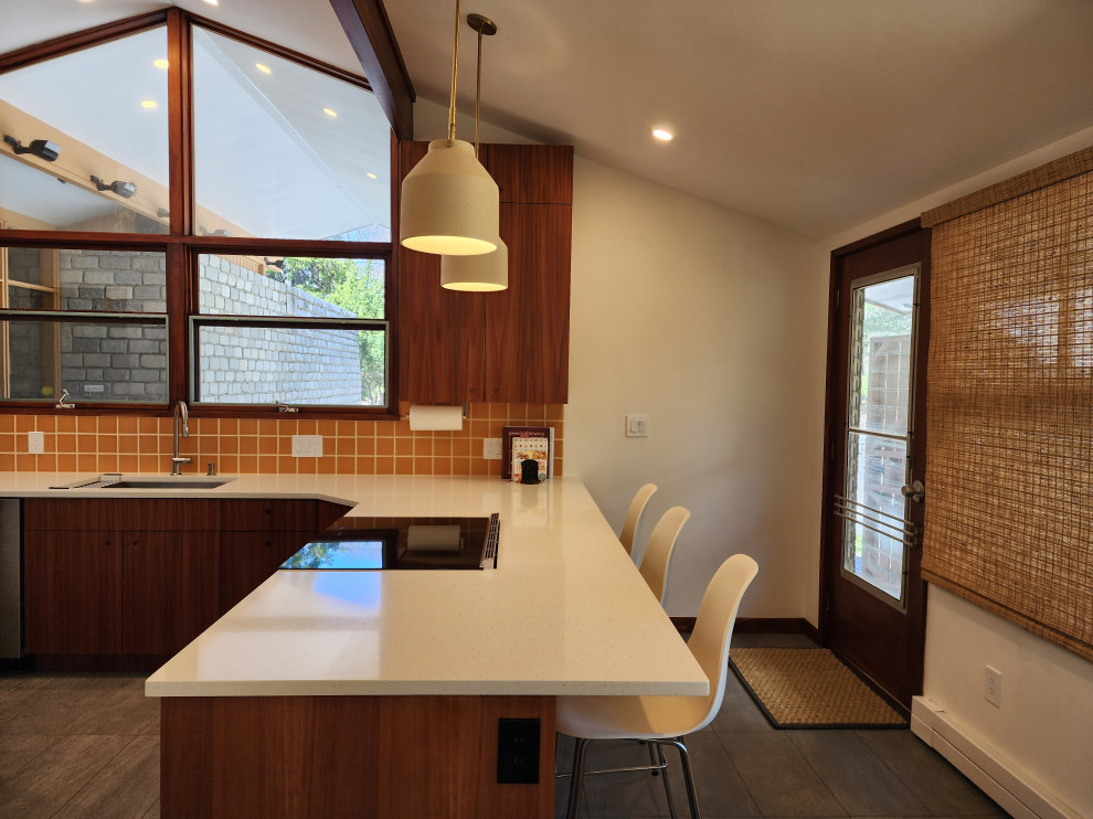 6360 Mid-Century Modernized