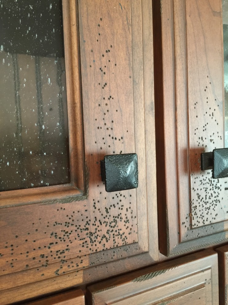 Williamsburg Greystone