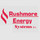 Rushmore Energy Systems