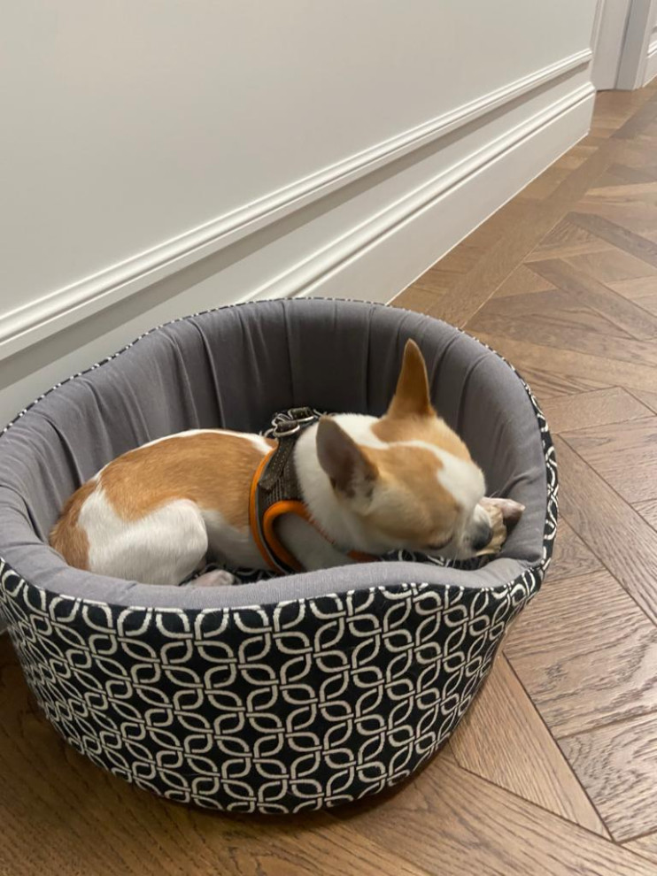 квартира на горького