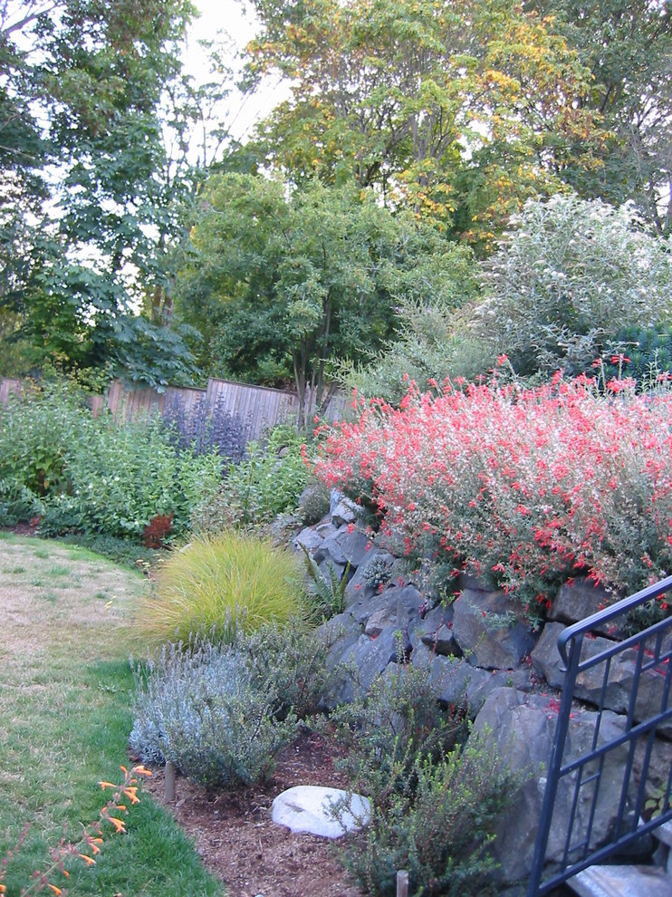 Photo of a rustic landscaping in Seattle.