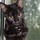 alice_lundhal