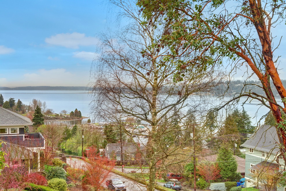 Lake Washington Modern