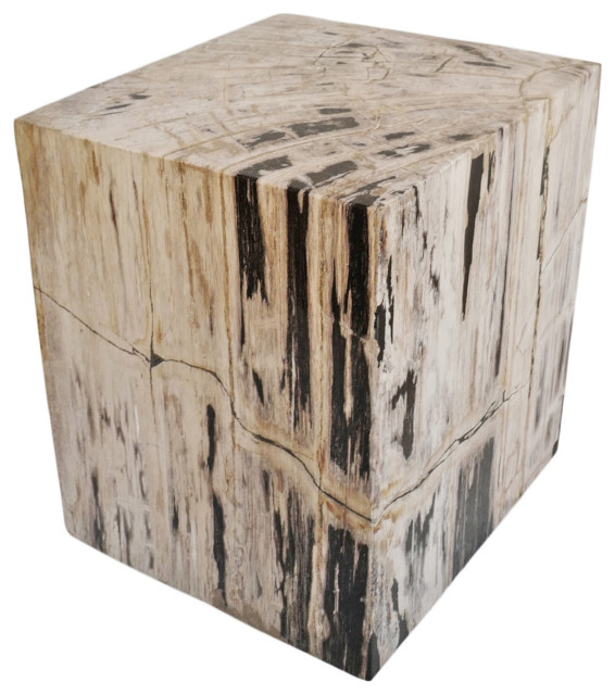 Square Petrified Wood Stump Table Rustic Side Tables And End Tables