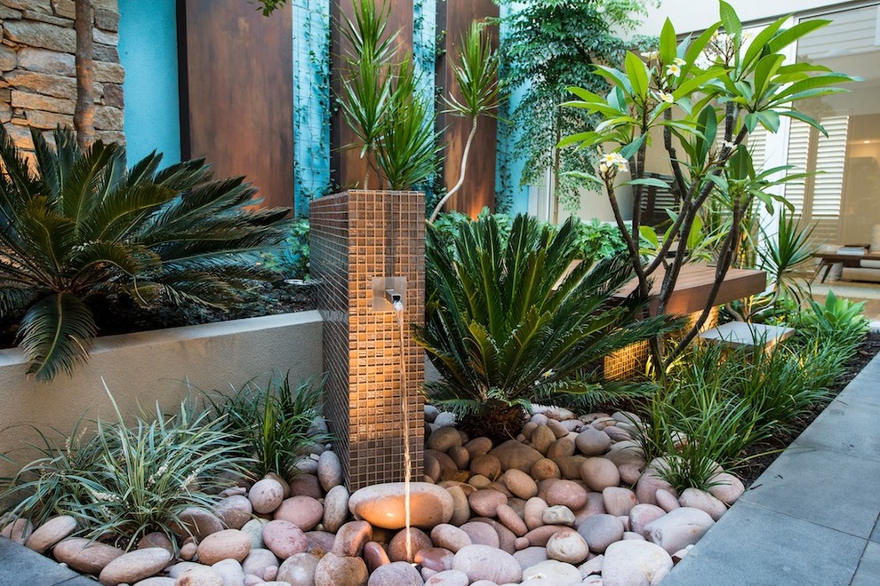 Small contemporary courtyard garden in Perth with gravel.