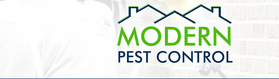 Modern Pest Control Puyallup, WA, US