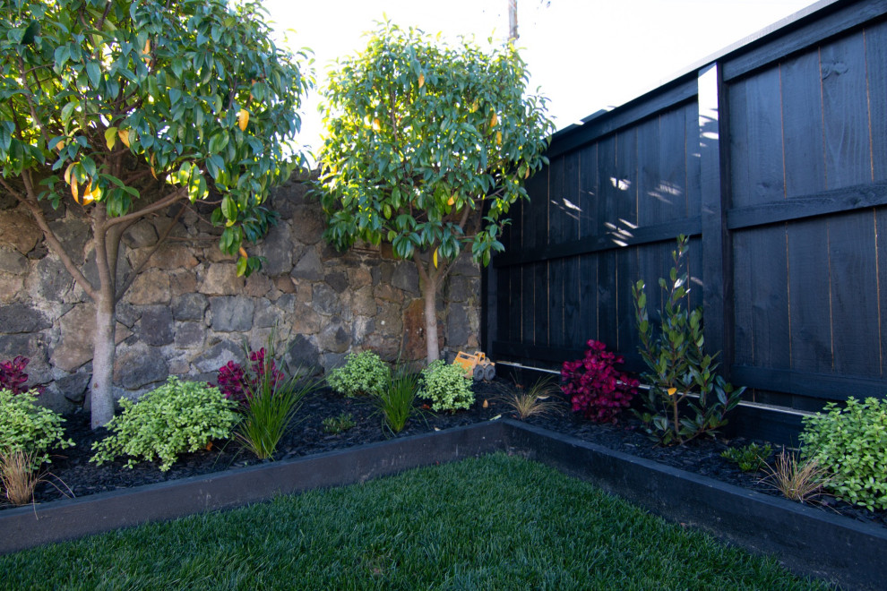 Geometrischer, Mittelgroßer, Halbschattiger Klassischer Garten mit Mulch und Metallzaun in Auckland