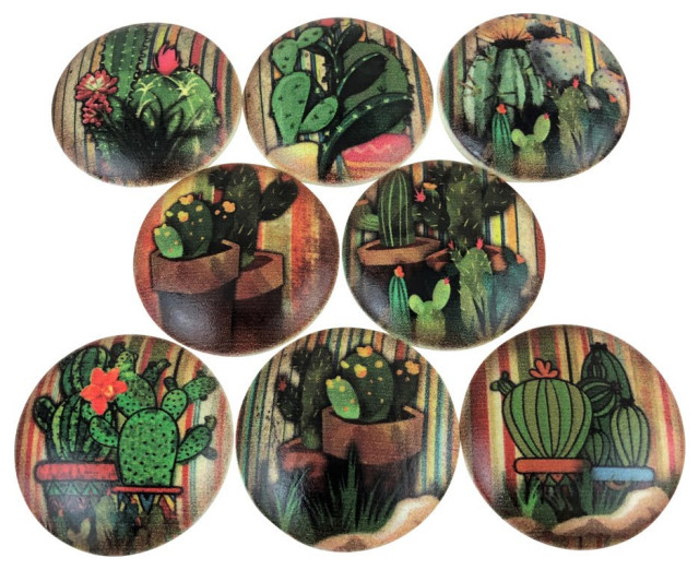 Cactus Cabinet Knobs Set Of 8 Southwestern Cabinet And Drawer