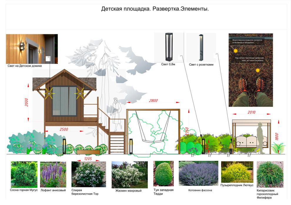 Сад в сосновом лесу