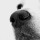 lucie_ptps