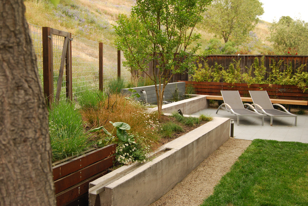 This is an example of a mid-sized and australian native modern backyard formal garden in San Francisco.