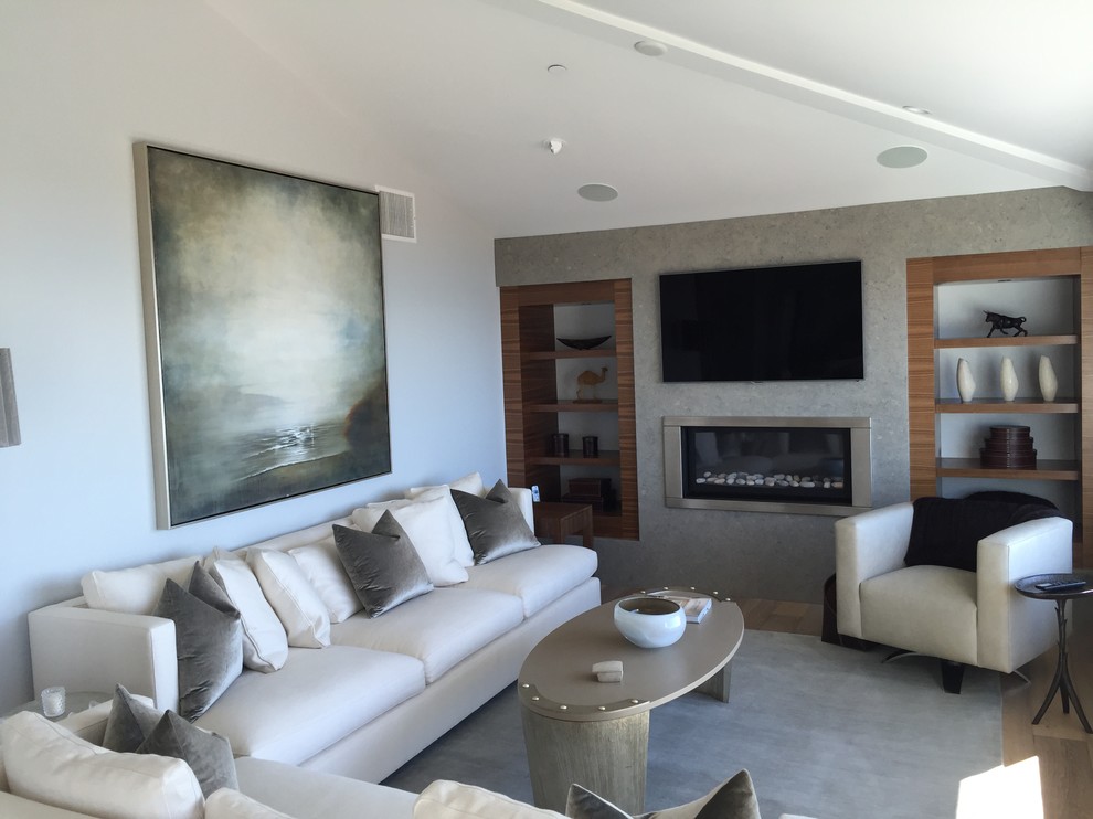 Mid-sized minimalist enclosed light wood floor and brown floor family room photo in Orange County with gray walls, a standard fireplace, a metal fireplace and a wall-mounted tv