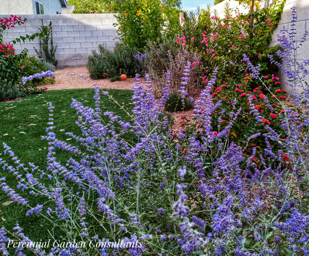 Diseño de jardín de secano mediterráneo de tamaño medio en otoño en patio trasero con exposición total al sol