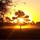 liz_smith11