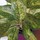 Last commented by elkay_gw