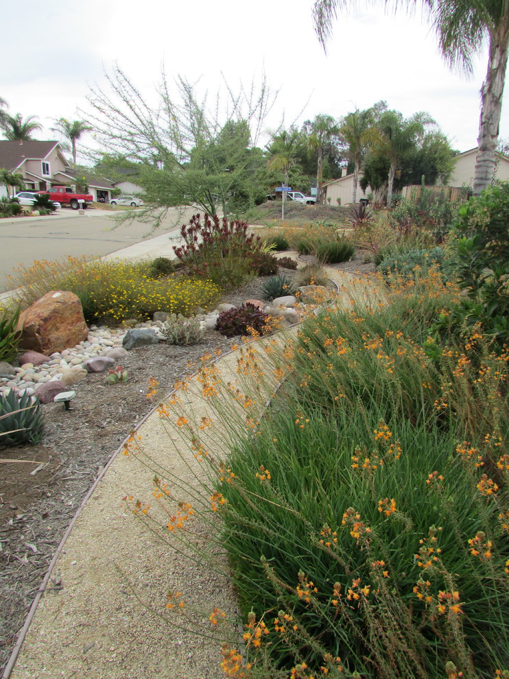 Photo of a front yard xeriscape in San Diego.