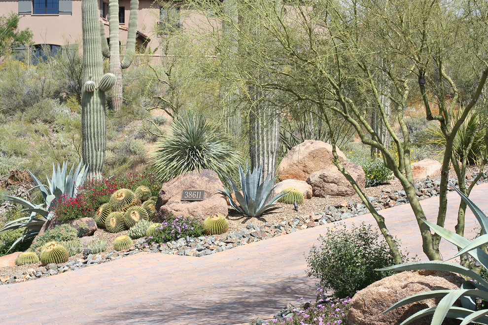 Inspiration for a garden in Phoenix.