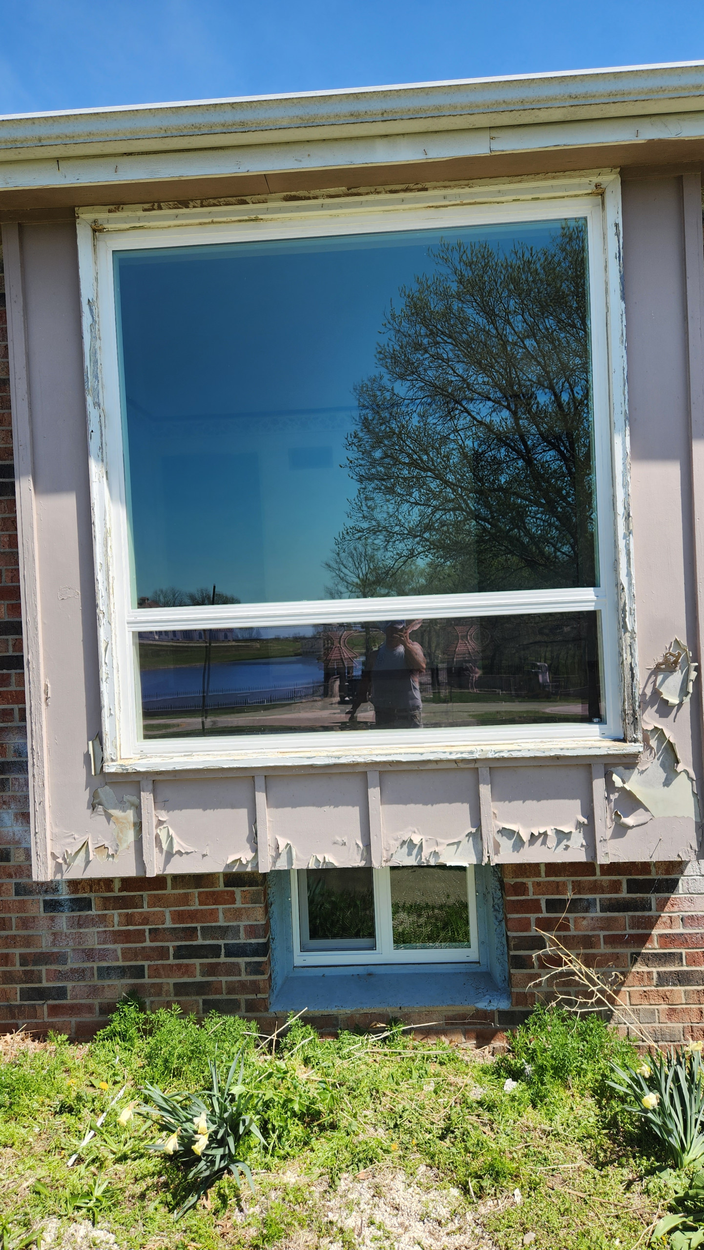 Window Replacements