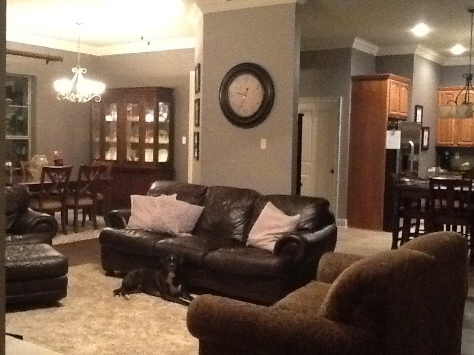 Paint Color for Den/Dining room