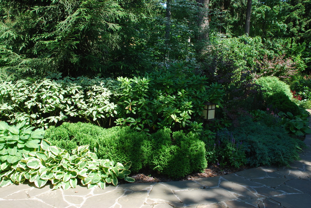 Лесной участок в КП "РИИТА"