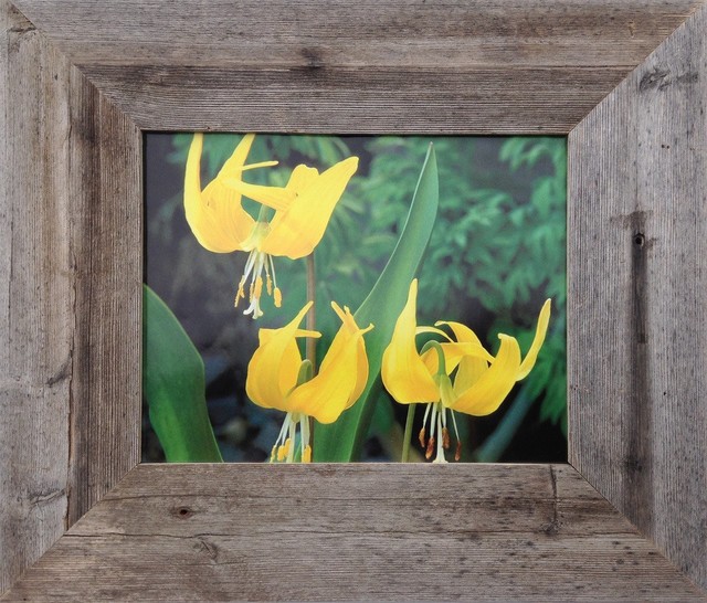 10x10 Barn Wood Frames, Wide Width 3 Inch Homestead Series Farmhouse