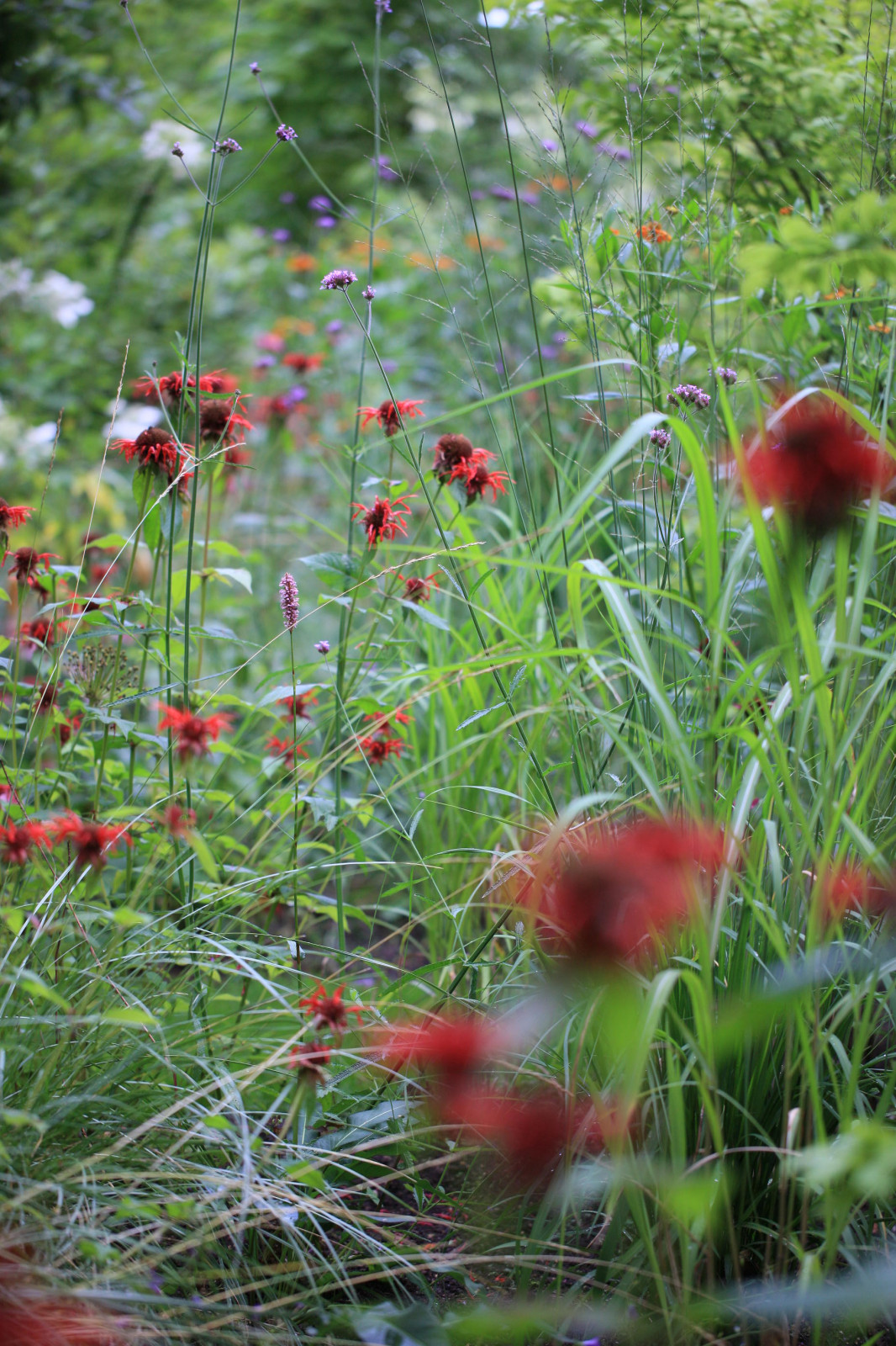 Сад Флориста