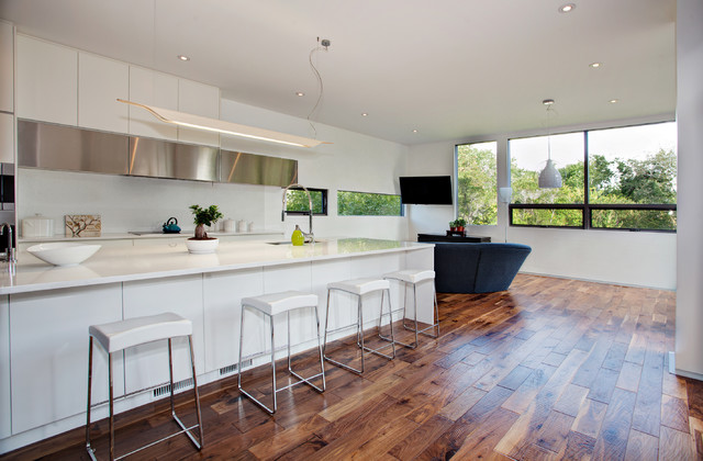 Rusch Projects Organic White Quartz Contemporary Kitchen