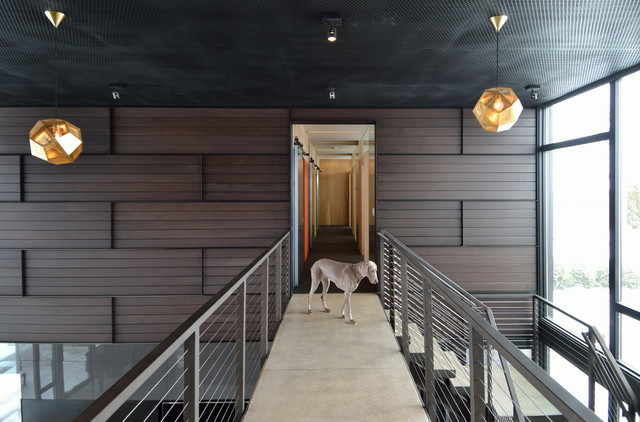 Contemporary Hall contemporaneo-recibidor-y-pasillo
