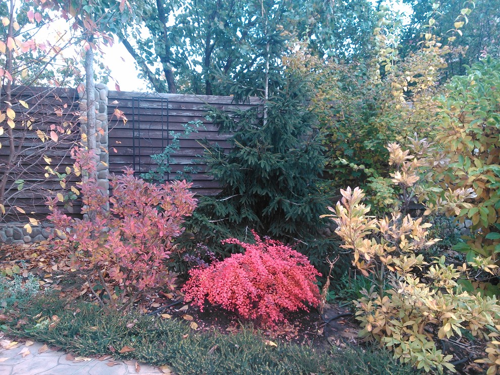 Ландшафт в пейзажном стиле с плавательным прудом 12 соток