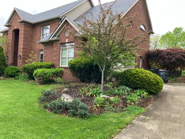 Before front 