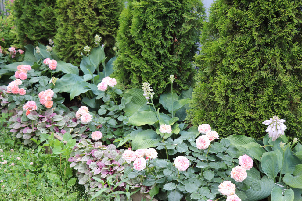 Цветущий сад