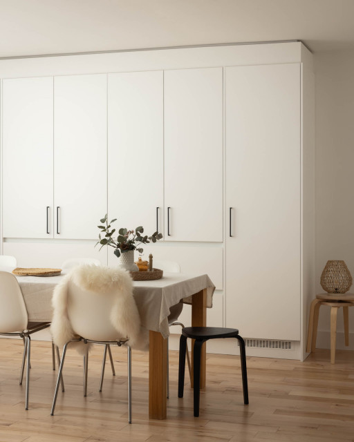 Stepaside Kitchen scandinavian-kitchen
