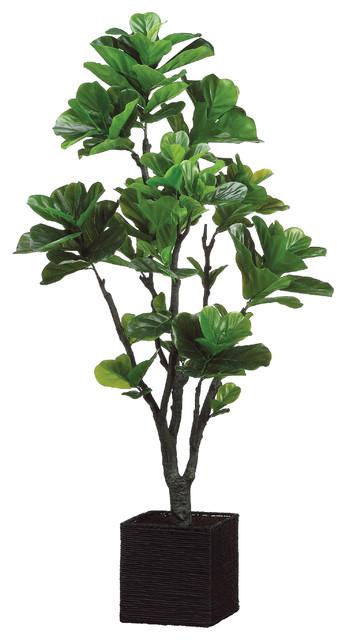 Silk Plants Direct Fiddle Leaf Fig Tree, Pack of 1 - Traditional ... - Silk Plants Direct Fiddle Leaf Fig Tree, Pack of 1 traditional-artificial -flowers