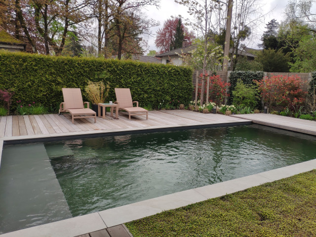 Rasen-Frei contemporaneo-piscina